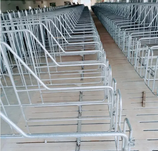 Galvanized Pig Gestation Limited Stalls Crates Pens
