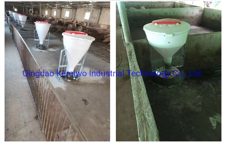 Pig Farm Feeding System Equipment Factory Direct Supply Low Price Sow Plastic Automatic Wet and Dry Pig Feeder