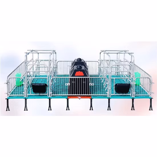 2023 Letto per casse di allevamento per suini zincato per l'agricoltura